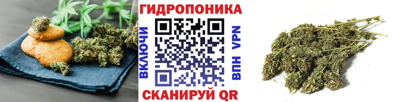 Cannafood марихуана  купить наркоту  Клин 