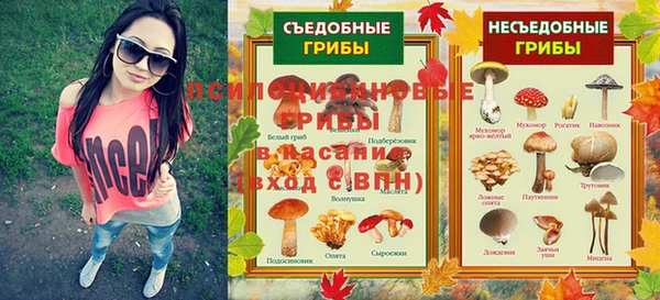бошки Инта