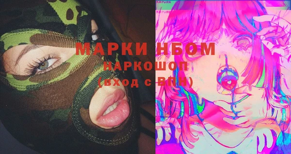 бошки Инта