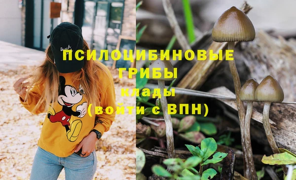 марихуана Каменногорск