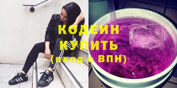 бошки Инта