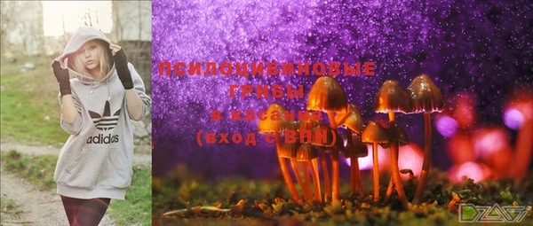герыч Иннополис