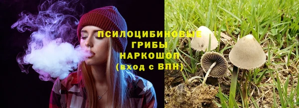 марихуана Каменногорск