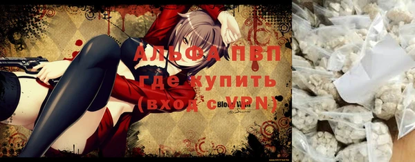 бошки Инта