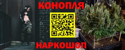 стаф Краснодар