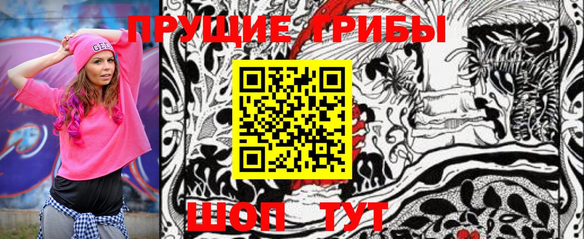 Псилоцибиновые грибы мицелий Клин