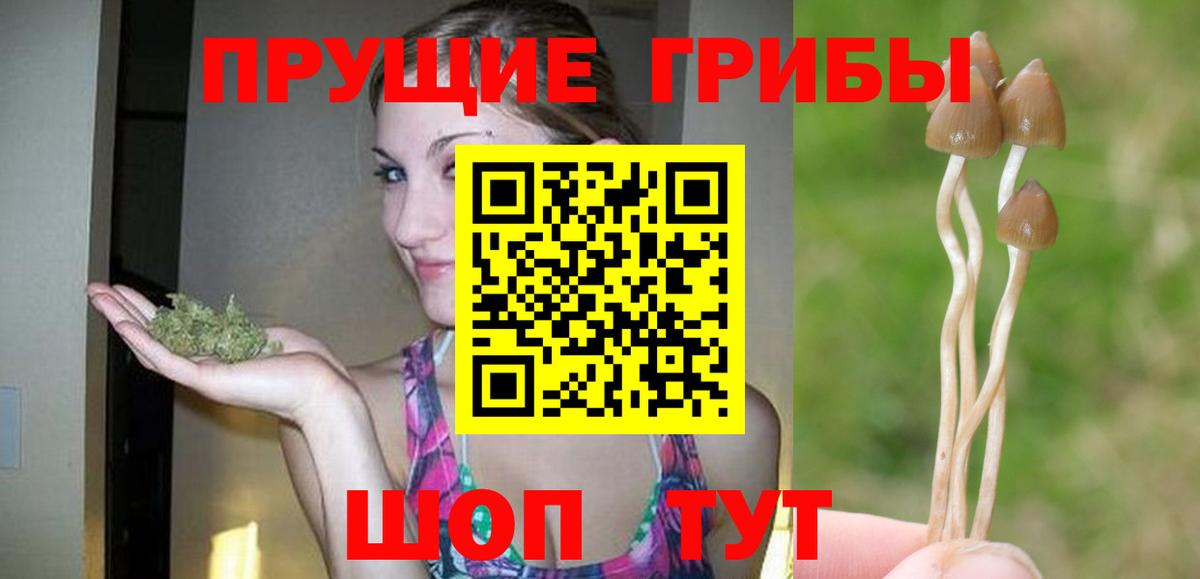 Псилоцибиновые грибы ЛСД  закладка  Вход с VPN  Клин  Галлюциногенные грибы прущие грибы 
